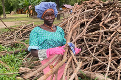 Year Supply of Charcoal & Firewood for 1 Campus (2 Needed)