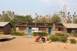 New Campus Roof (6 Needed)